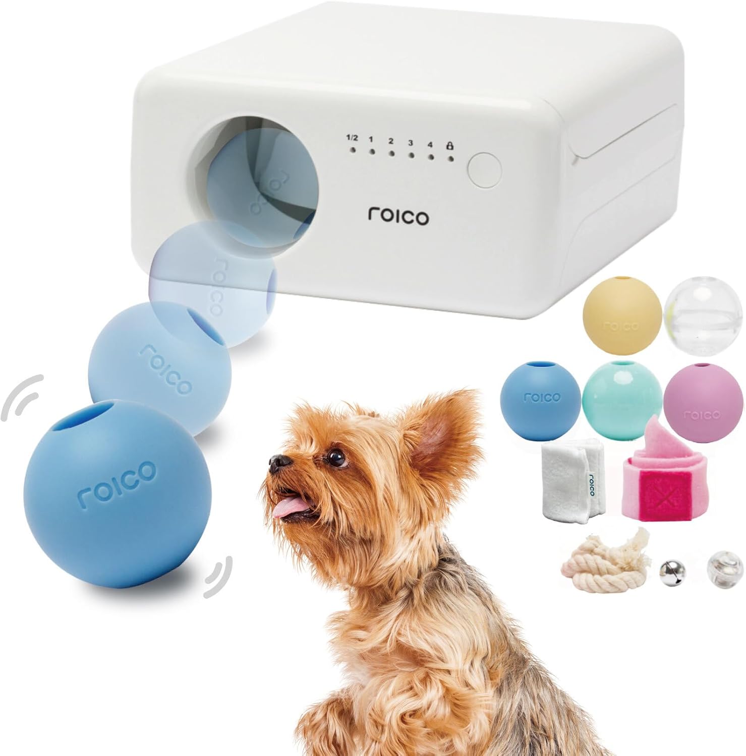 アナベル スワッグ 3.バスケット付アナベルスワッグ